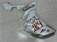 Bianco Plastica Yamaha R1 2007-2008 Bianco Plastica Yamaha R1 2007-2008