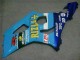 Blu Carene Suzuki GSXR 1000 K3 2003-2004