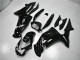 Lucido Nero Carene Kawasaki EX650 2006-2008 Lucido Nero Carene Kawasaki EX650 2006-2008