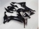 Lucido Nero Carrozzeria & Carena Kawasaki ZX10R 2008-2010 Lucido Nero Carrozzeria & Carena Kawasaki ZX10R 2008-2010