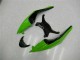 Nero Verde Rosso Carene Kawasaki ZX6R 2009-2012 Nero Verde Rosso Carene Kawasaki ZX6R 2009-2012