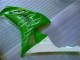 Verde Carene Honda CBR 1000 RR 2006-2007 Verde Carene Honda CBR 1000 RR 2006-2007