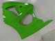 Verde Kits Carene Completa Kawasaki ZX6R 2000-2002 Verde Kits Carene Completa Kawasaki ZX6R 2000-2002