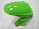 Verde Nero Carrozzeria & Carena Kawasaki ZX10R 2011-2015 Verde Nero Carrozzeria & Carena Kawasaki ZX10R 2011-2015