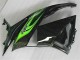 Verde Nero Carrozzeria & Carena Kawasaki ZX6R 2009-2012 Verde Nero Carrozzeria & Carena Kawasaki ZX6R 2009-2012