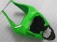 Verde Nero Carrozzeria & Carena Kawasaki ZX6R 2009-2012 Verde Nero Carrozzeria & Carena Kawasaki ZX6R 2009-2012