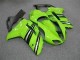 Verde Nero Carrozzeria & Plastica Kawasaki ZX6R 2007-2008 Verde Nero Carrozzeria & Plastica Kawasaki ZX6R 2007-2008